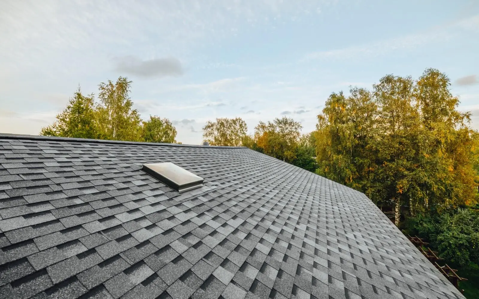 Professional roof cleaning service