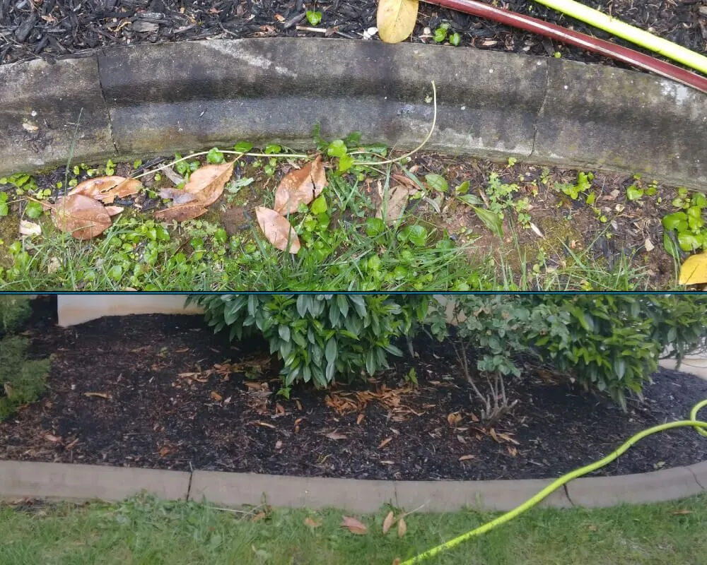 Brick steps pressure washing before and after